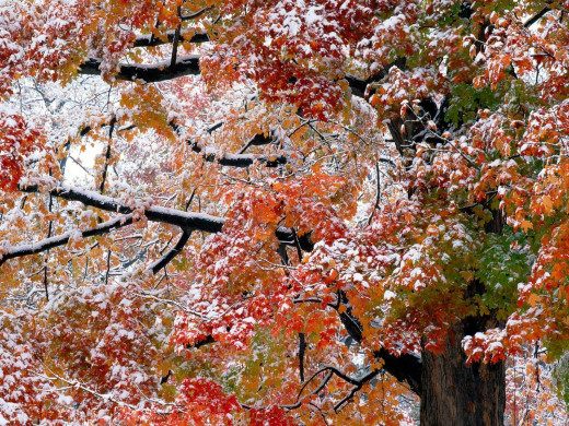 44123 (a): :1600x1200